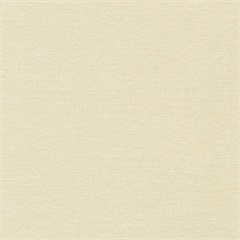 Essence Plush Crypton Upholstery Fabric